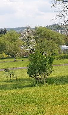 Botanical Garden-维尔茨堡