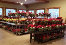 ADAMS NURSERY & GARDEN CENTER购物图片