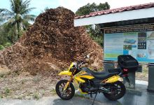 BATU GEOLOGI BUKIT LAREK景点图片