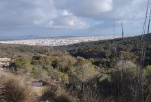 Paintball Tunisie Nahli景点图片