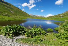 Col du Petit-Saint-Bernard景点图片
