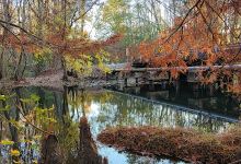 Jeffries Creek Park景点图片