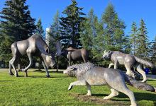 Moose and Wolves statue景点图片
