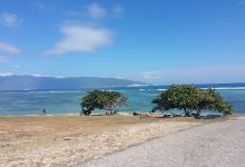 Skatepark Barahona景点图片