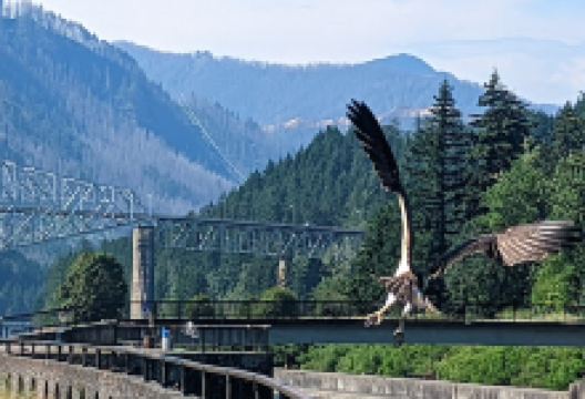 Marine Park Pavilion景点图片