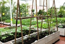 Công ty Cổ phần Thương Mại Dịch Vụ Ăn Sạch Uống Sạch景点图片