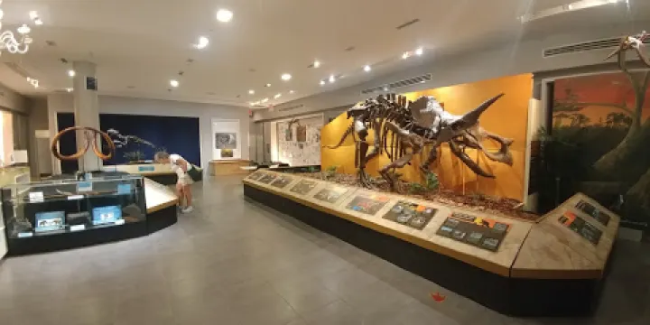 The Palm Beach Museum of Natural History