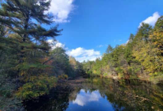 Roaring Brook Nature Center景点图片