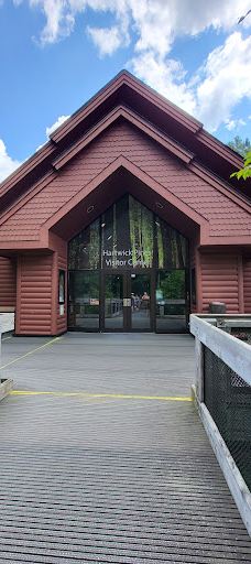 Hartwick Pines State Park-Grayling Township