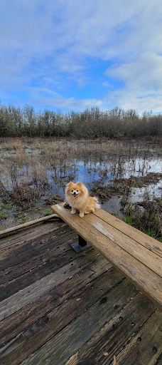 Jackson-Frazier Wetlands-本顿县