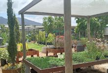 Riverland Garden Centre购物图片