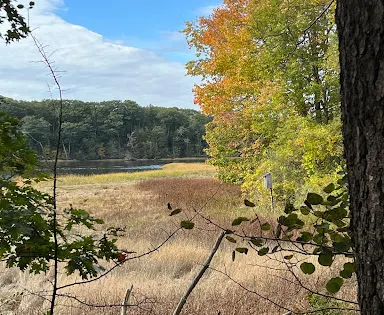 Spear Farm Estuary Preserve