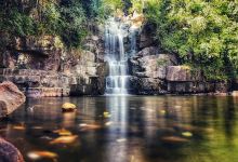 Beetle Waterfall景点图片