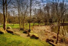 Ipsley Pool景点图片