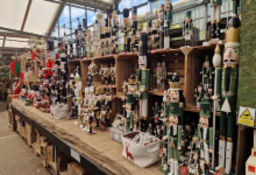 Southwood Garden Centre购物图片