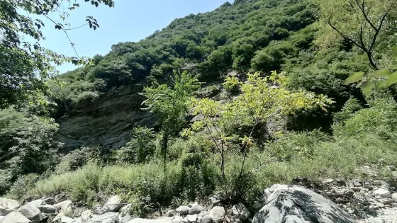 陝西省秦嶺十寨溝森林公園