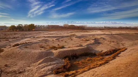 駱駝城遺址及墓羣