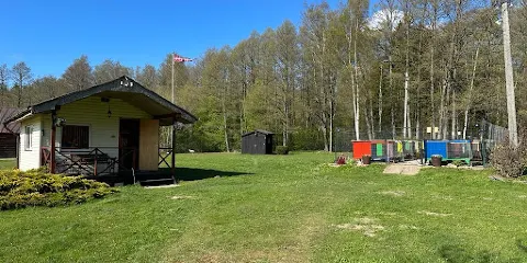 Jaunstuci Murksku Audzetava