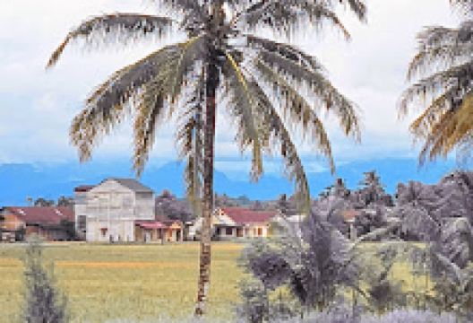 Masjid Abdurrahim Sapeng景点图片