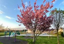 Portlaoise Skatepark景点图片