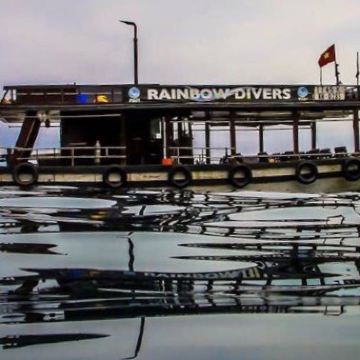 越南胡志明市金龙水上木偶剧院+芽庄双岛+芽庄珍珠岛游乐园8日7晚自由行