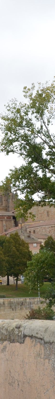 罗马古桥-萨拉曼卡