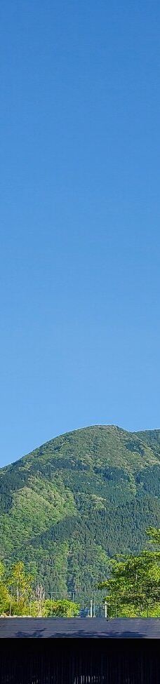 汤之坪街道-由布市