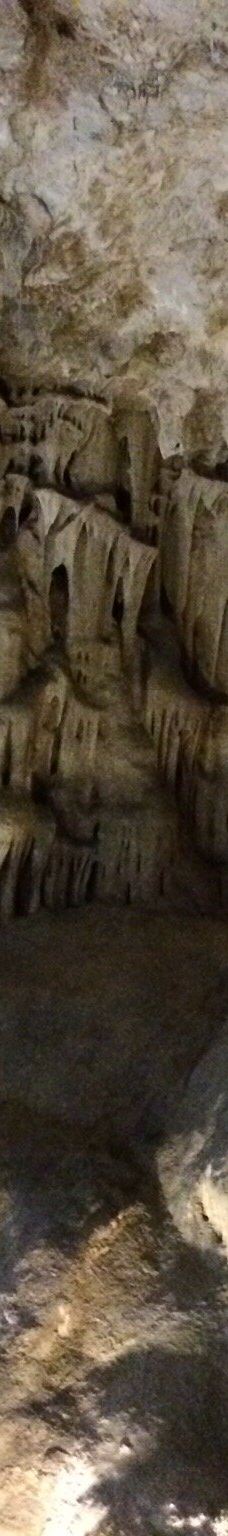 Grotta Zinzulusa-卡斯特罗