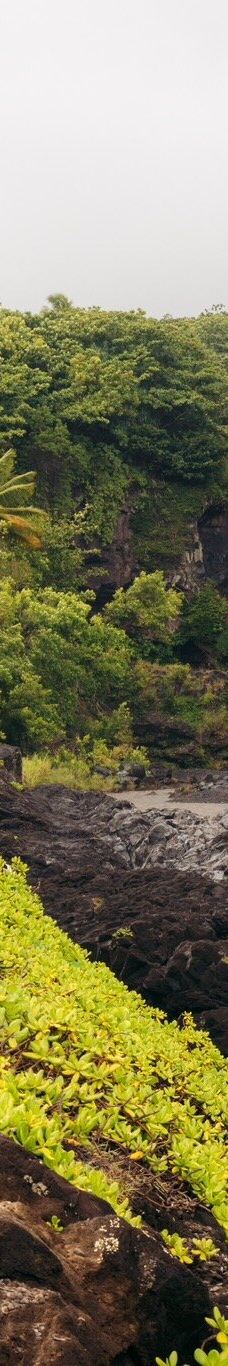 皮皮崴小径-茂宜县