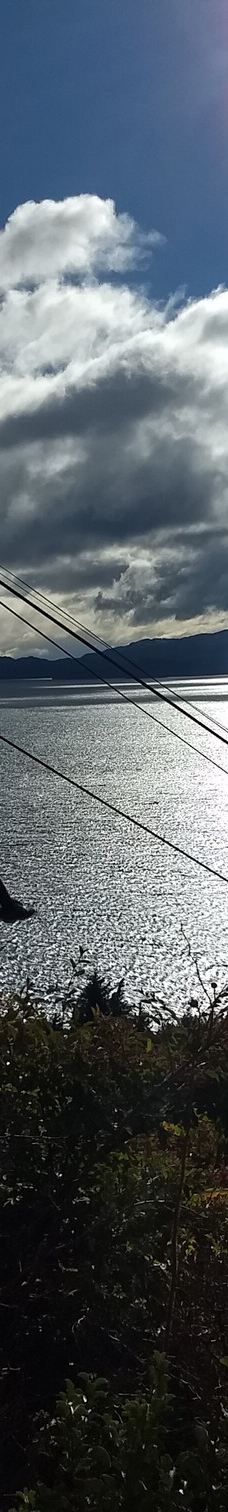 Parque Ecoturistico Cerro Viejo-圣卡洛斯-德巴里洛切