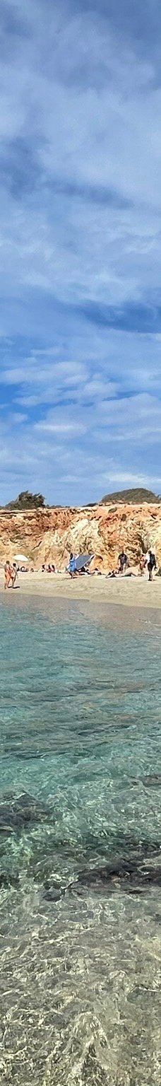 Cedar Forest of Alyko-纳克索斯