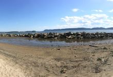 Croton Point Park景点图片