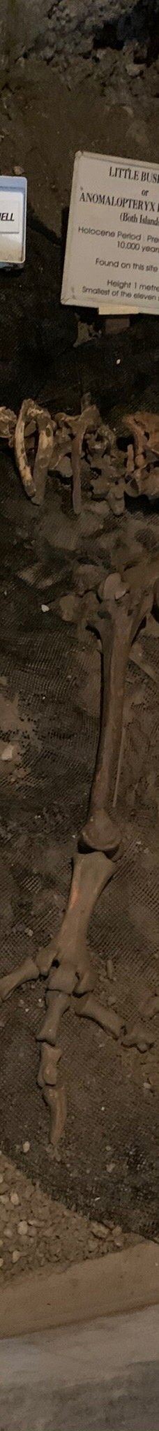 Ngarua Caves-Takaka Hill