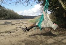 nature workshops景点图片