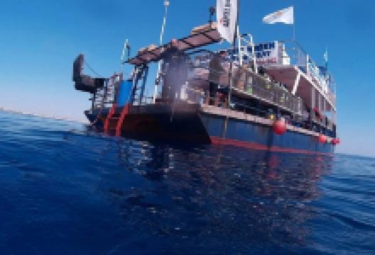 Zenobia Divers购物图片