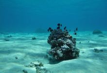Tahiti Lagoon Paradise景点图片