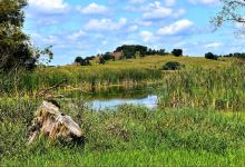 Pheasant Branch Conservancy景点图片