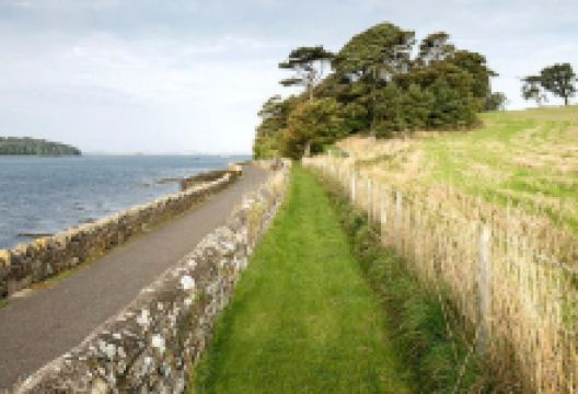 Nugent's Wood景点图片