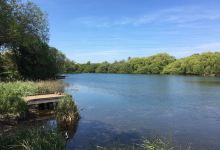 Anton Lakes Local Nature Reserve景点图片