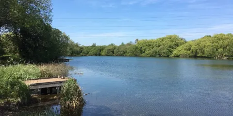 Anton Lakes Local Nature Reserve