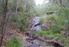 Greater Beedelup National Park景点图片