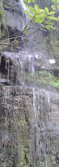 Granja La Cascada-La Frontera
