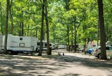 Camping at Deihls景点图片