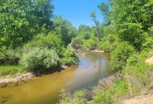 River Road Trailhead - Gladwin City Park/Trail景点图片