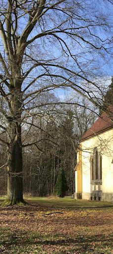 Tiergehege Waldhaus-莫尔斯多夫-泰希沃尔夫拉姆斯多夫