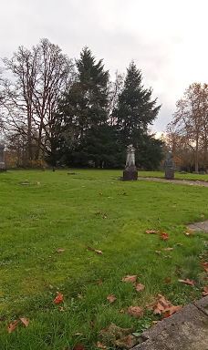 Waverly Park Parking-奥尔巴尼