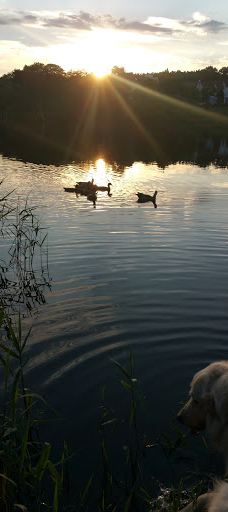 Lac de Creutzwald-柯哲斯瓦尔德拉克鲁瓦