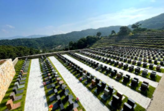 盆唐纪念公园景点图片