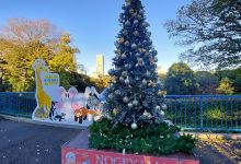 Zoo Noge景点图片