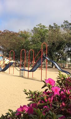 Praça da Colonização Menonita-库里提巴